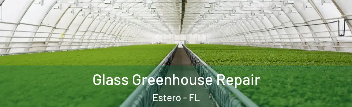 Glass Greenhouse Repair Estero - FL