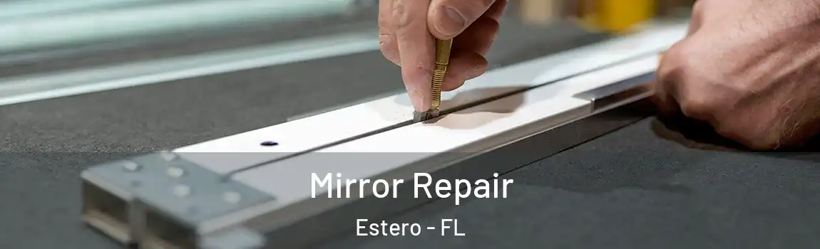 Mirror Repair Estero - FL