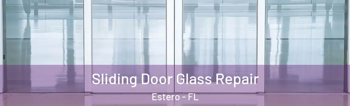 Sliding Door Glass Repair Estero - FL
