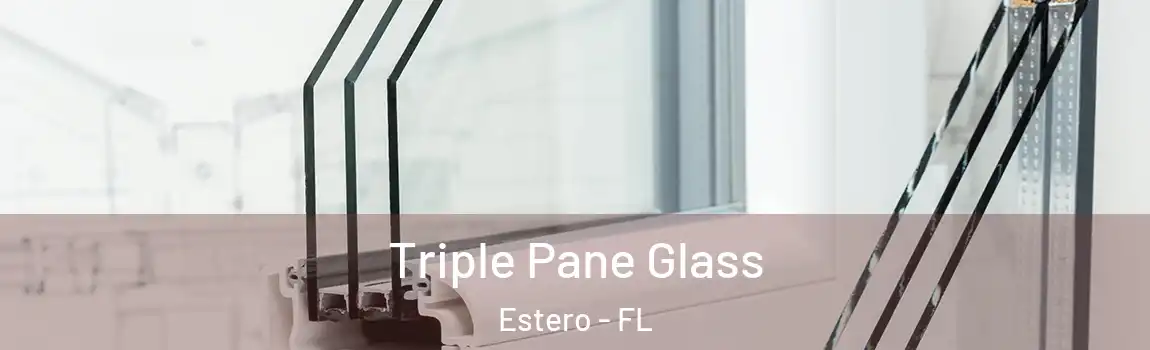 Triple Pane Glass Estero - FL