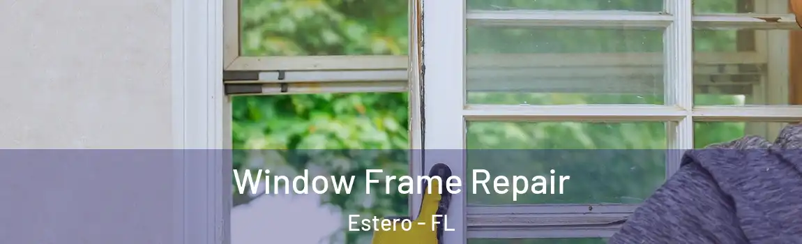 Window Frame Repair Estero - FL