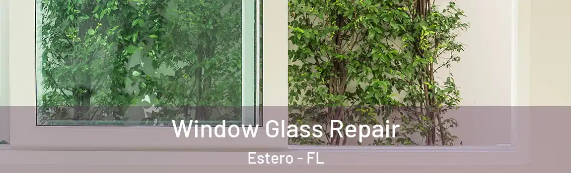 Window Glass Repair Estero - FL